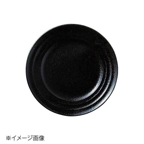 桐井陶器 モデルノ MODERNO Linea black(リネア BK) 黒 BB 297-57拍卖