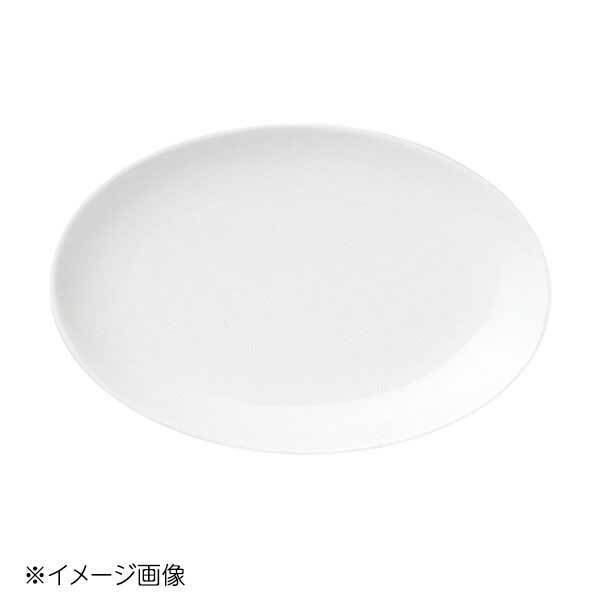 桐井陶器 モデルノ MODERNO テクノス中華 20cmメタプラター 49-505拍卖