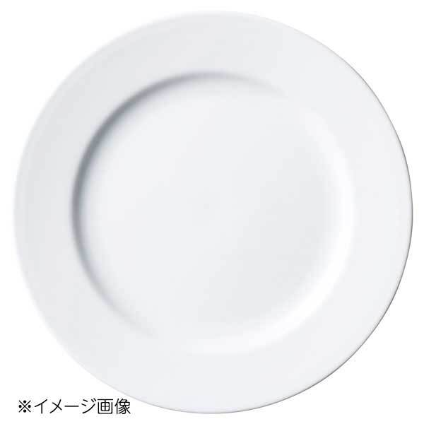 桐井陶器 モデルノ MODERNO Colorado(コロラド) 玉渕11.0ミート皿 48-61拍卖