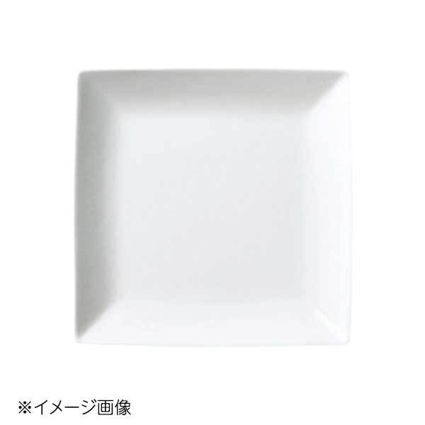 桐井陶器 モデルノ MODERNO NBスクエア 21cm正角メタ(WH) 55-105拍卖