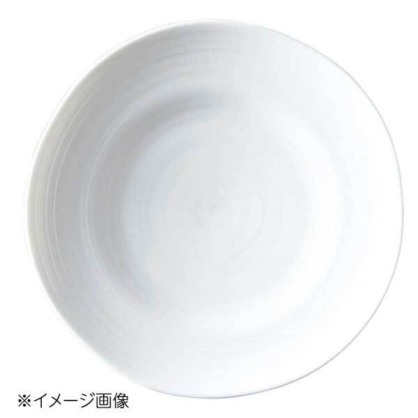 桐井陶器 モデルノ MODERNO Plaire(プレール) 28cm皿 66-09拍卖