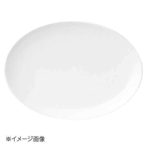 桐井陶器 モデルノ MODERNO テクノス中華 41.5cmメタプラター 49-510拍卖