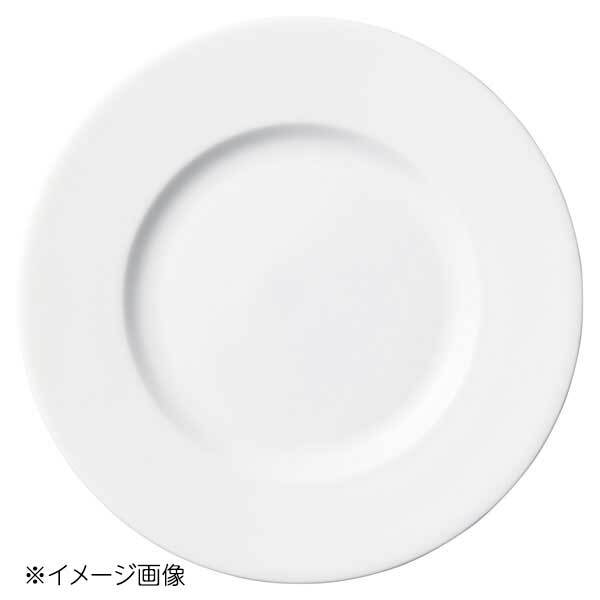 桐井陶器 モデルノ MODERNO IST 25cmプレート 8515-02拍卖