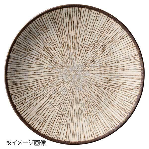 桐井陶器 モデルノ MODERNO さび乱十草 21.5cm皿 855-2201拍卖