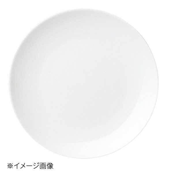 桐井陶器 モデルノ MODERNO テクノス中華 20cmメタ皿 49-526拍卖