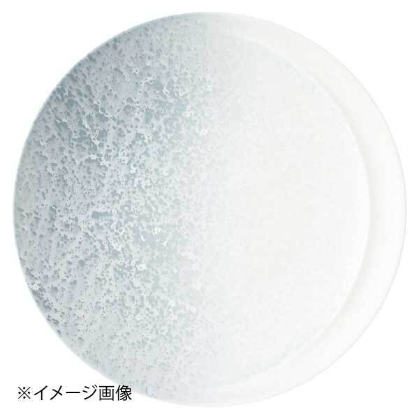 光洋陶器 KOYO アルコ ジェル 27.5cmプレート 14474002拍卖