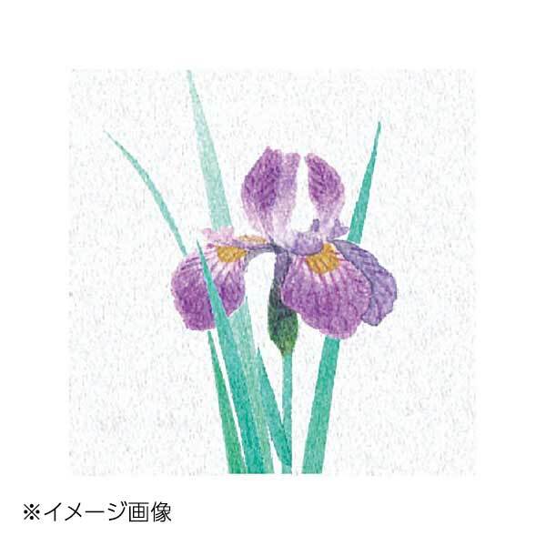 ヤマコー 用美 両面ラミ四季彩シート 菖蒲 (200枚入) 66368拍卖