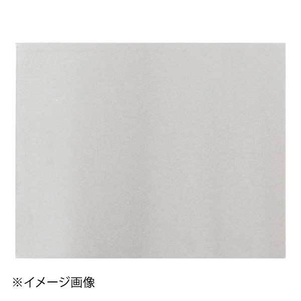 遠藤商事株式会社 クーリングプレート 1/2 CT101拍卖