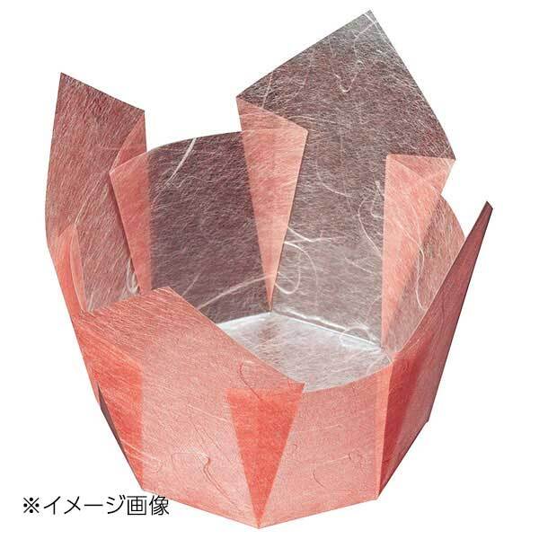 ヤマコー 用美 両面OP珍味入 紅梅雲竜 大 (100枚入) 66402拍卖