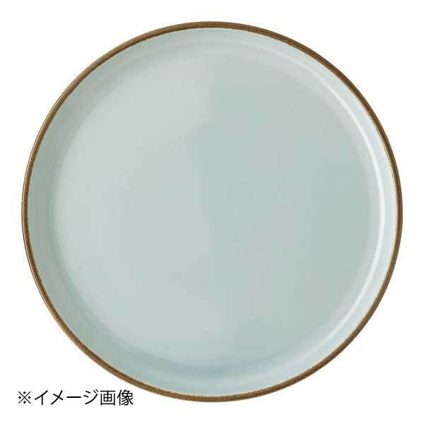 ローゼンタール RTプロフィ アースプレート405406 27cm Cミント10867 40540610867拍卖