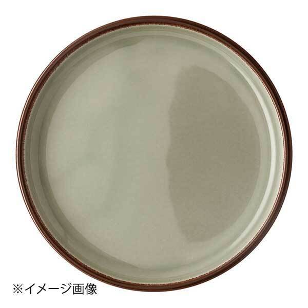 ローゼンタール RTプロフィ アースプレート405405 17cm Cモス10857 40540510857拍卖