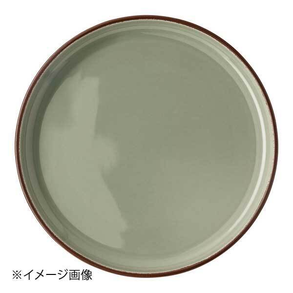 ローゼンタール RTプロフィ アースプレート405405 27cm Cモス10867 40540510867拍卖