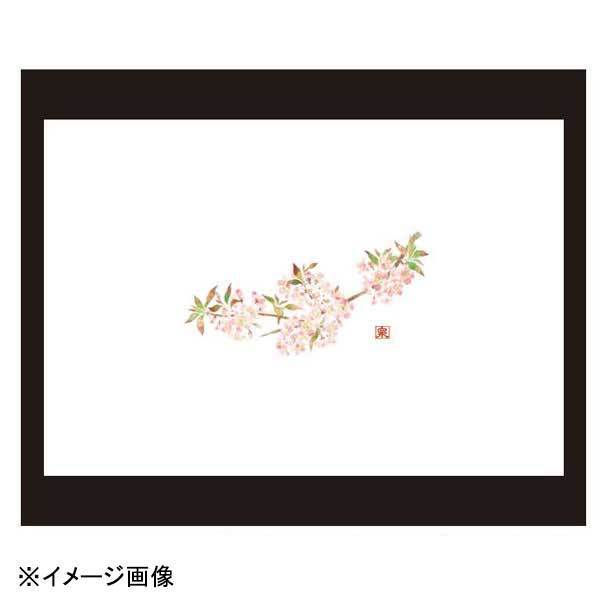 若泉漆器 新桜2 尺3寸長手テーブルマット(100枚単位)(3月~4月) B-25-76拍卖