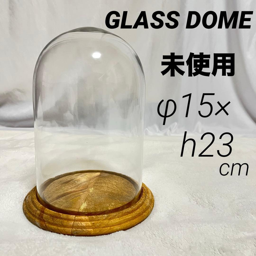 未使用 縦長 大型 ガラスドーム ガラスケース 木製台 高さ約23cm ② 拍卖