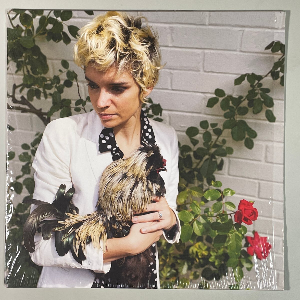 LR0649 *Gabi Garbutt And The Illuminations* Cockerel拍卖