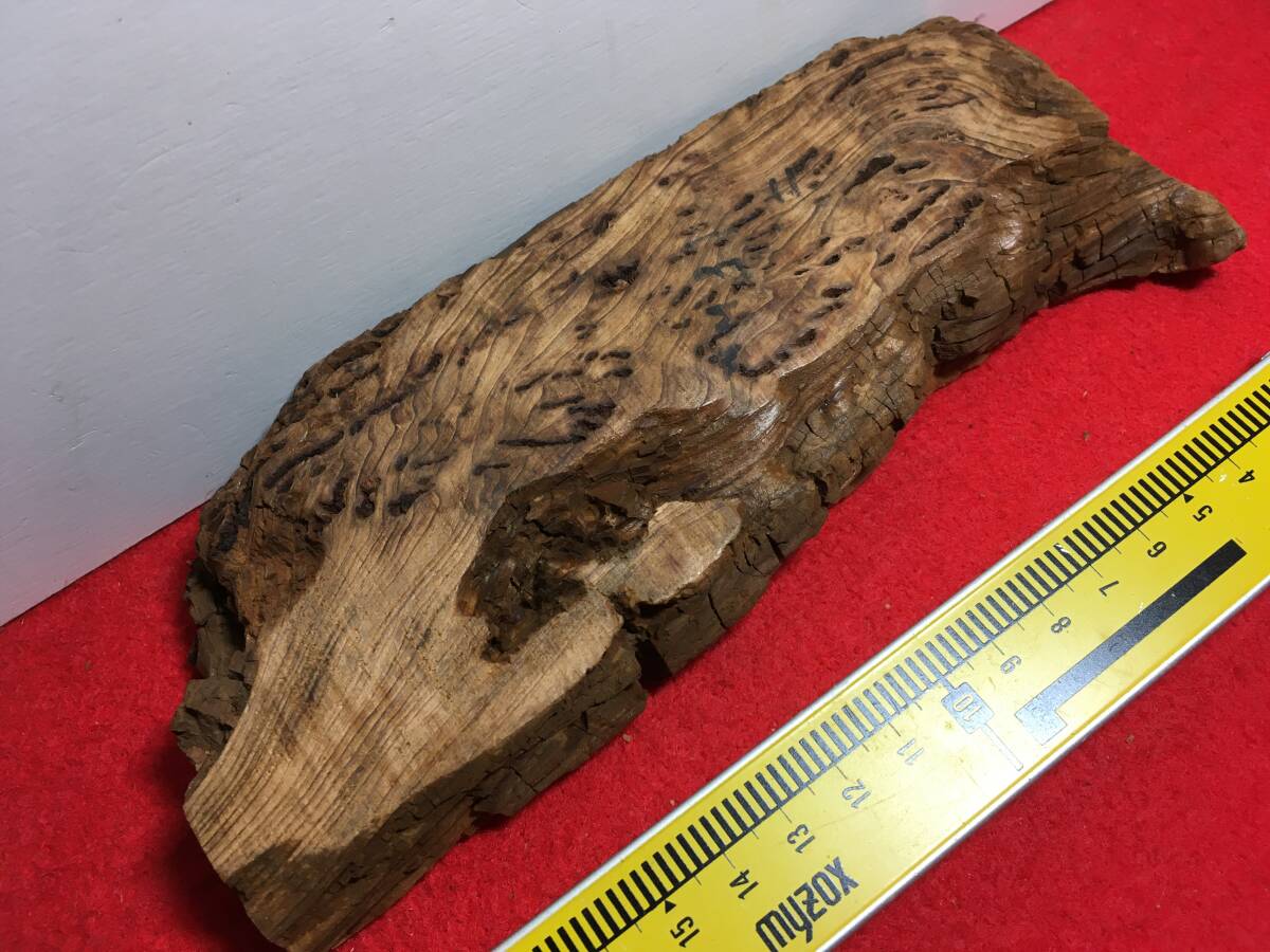 泡瘤! 5-20材料 銘木屋久杉 世界遺産 逸品 格安! 貴重な材料!拍卖