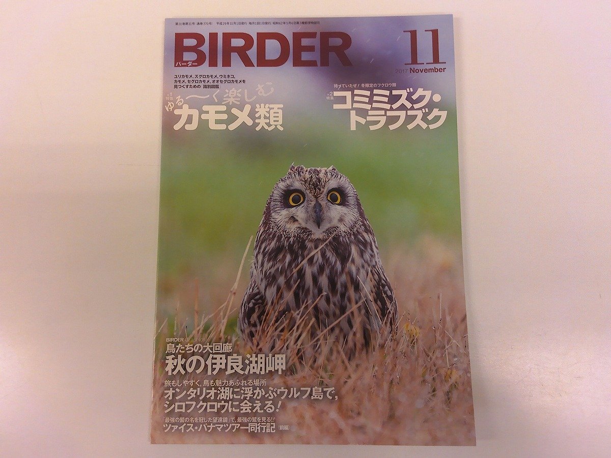 2501MY●BIRDER バーダー 2017.11●カモメ類/コミミズク・トラフズク/オオセグロカモメ/蕪島/ユリカモメ/伊良湖岬/シロフクロウ拍卖