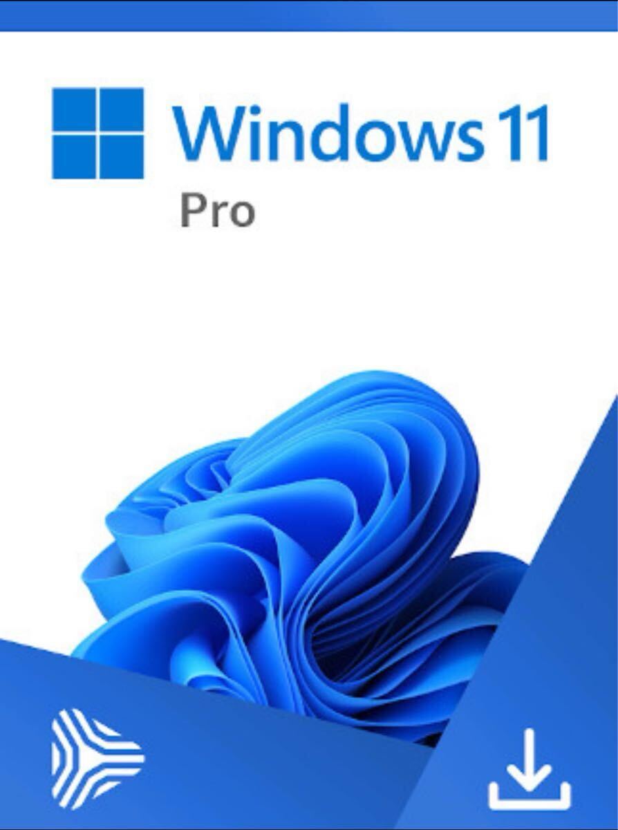 Window 11 Pro - 即時ダウンロード | 永久ライセンス | プロモーション価格—拍卖