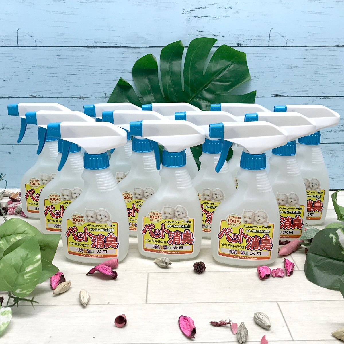 ル森i569【12本セット】バイオフラワー 消臭一番α ペット消臭スプレー 1本300ml 犬用 天然素材100% キトサン成分 安全 無臭 即効性拍卖