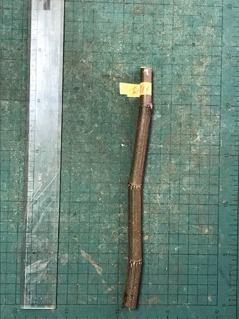 SMITH イチジク穂木1本 No.25025拍卖