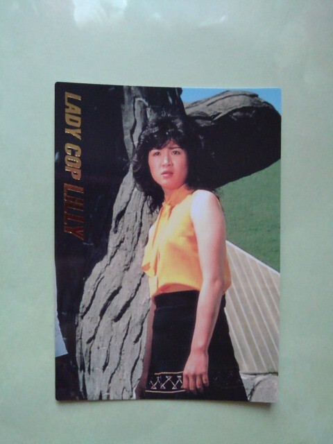 宇宙刑事シャリバン リリィ 箔押 カード コレクション BANDAI 昭和 特撮ヒロイン 降矢由美子 レア拍卖