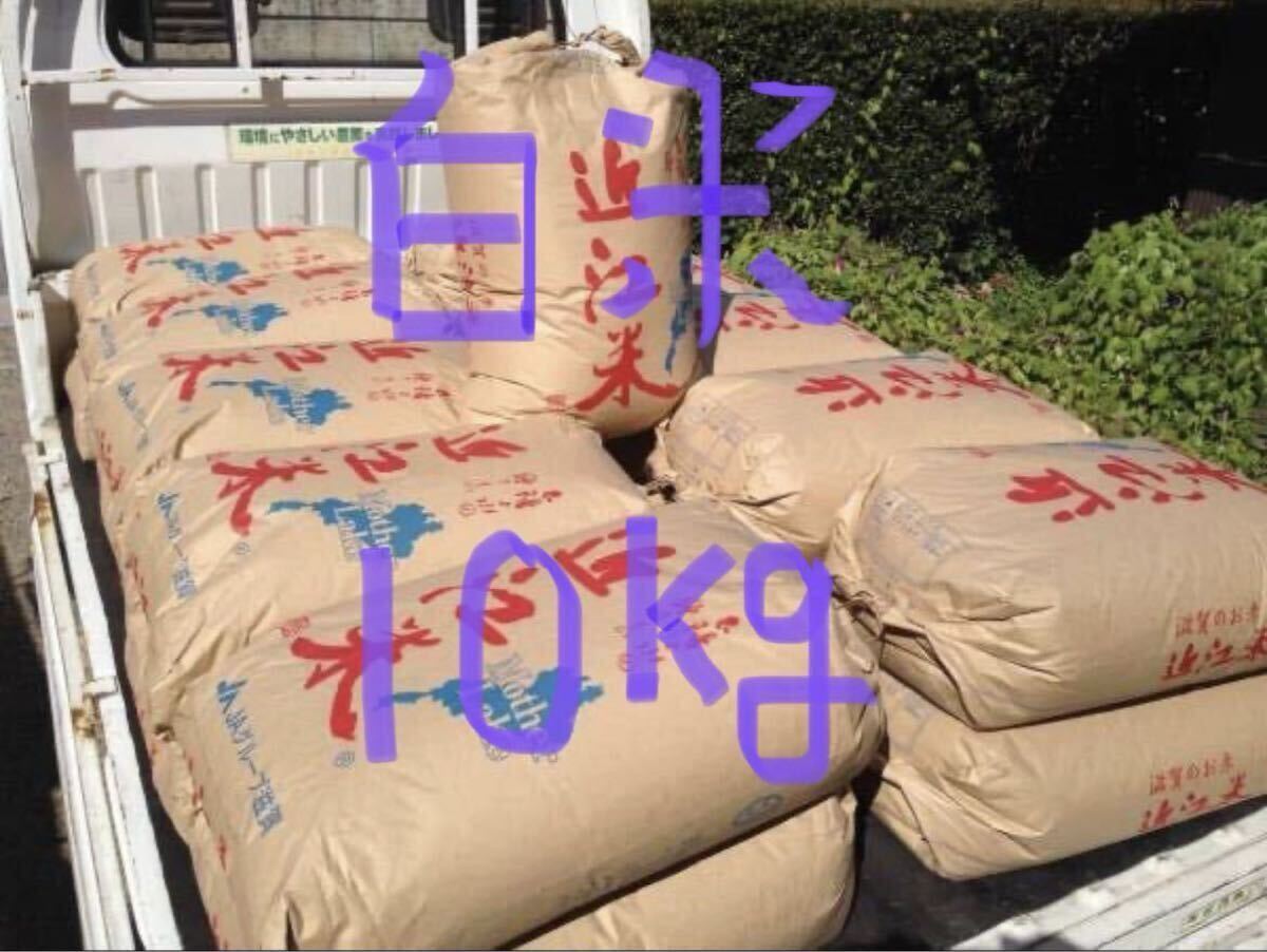 送料込み・税なし・農家直送・お米・白米・令和7年(2025)産・新米・滋賀県産「近江米」・キヌヒカリ・正味10Kg1袋・玄米でもOK!!拍卖