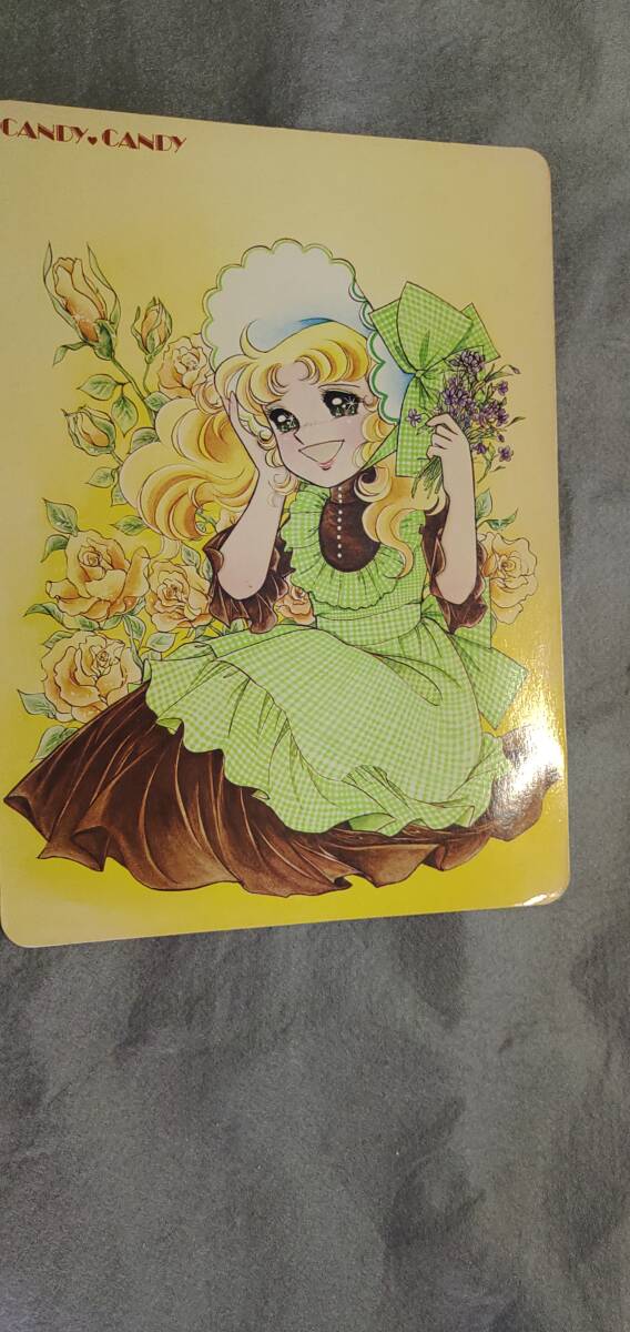 キャンディキャンディ なかよし5月号付録 サイズ 21cm×28cm 希少 レトロ拍卖