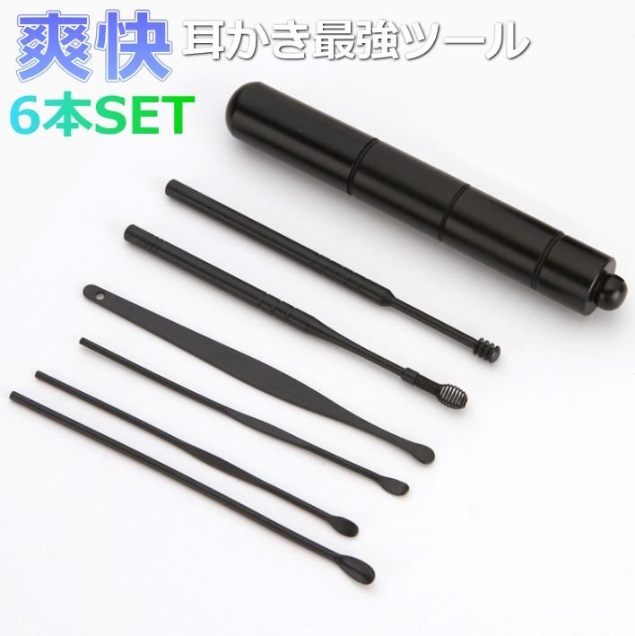 耳かき セット ステンレス 耳掃除 耳垢 プレゼント ギフト 携帯ケース付き 水洗い 耳そうじ 7986928 ブラック 新品 1円 スタート拍卖