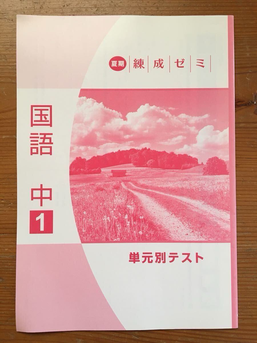 中1 ★国語 単元別テスト(解答なし)★夏期 練成ゼミ拍卖