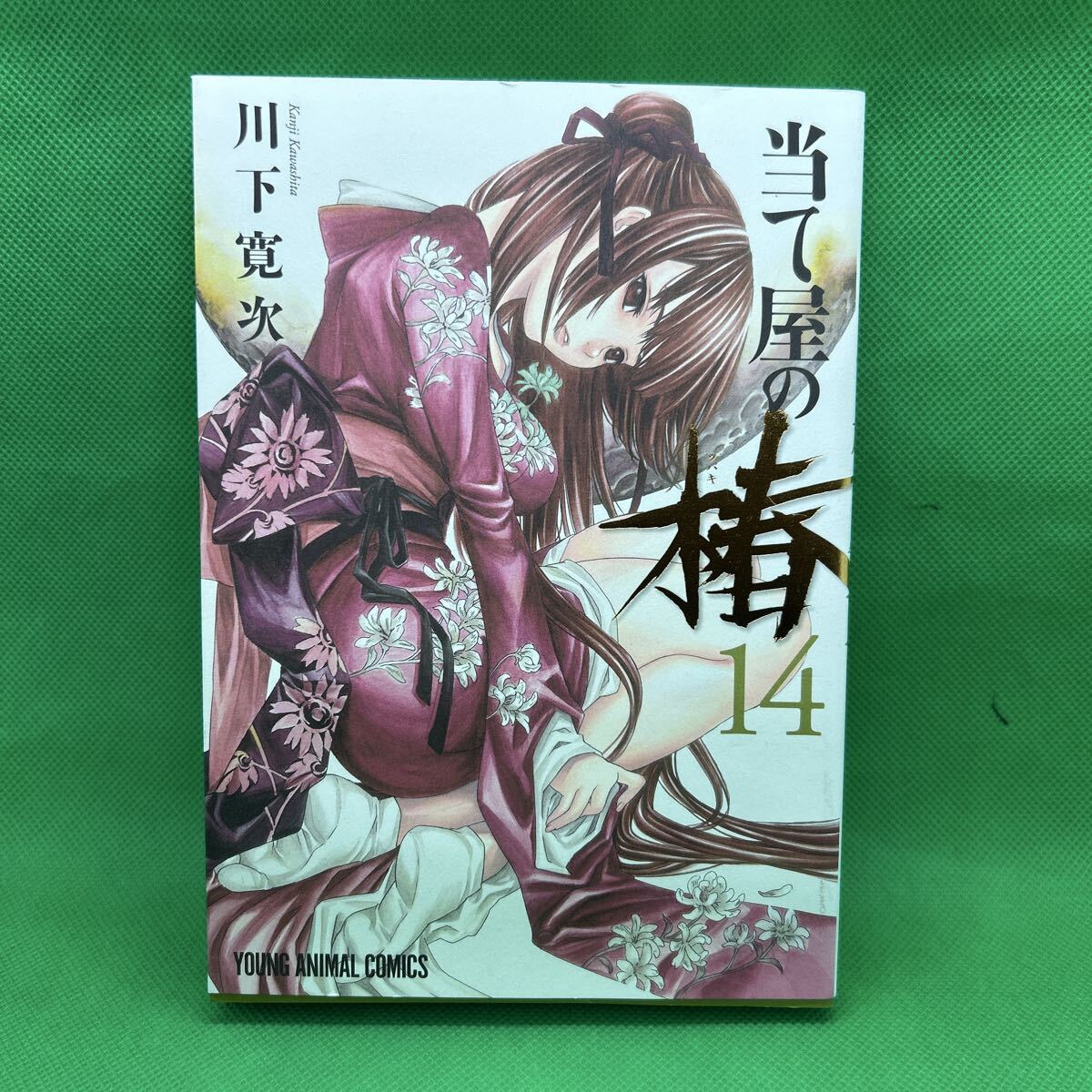 当て屋の椿 14 (ヤングアニマルコミックス)/川下 寛次/M251112-23*94拍卖