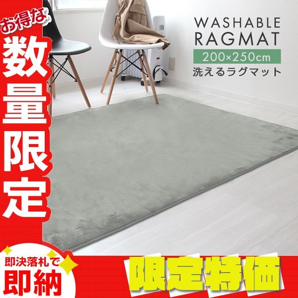【限定セール】ラグ カーペット ラグマット Lサイズ 200x250cm 3畳 厚手 床暖房 低反発 絨毯 北欧 リビングマット 滑り止め アイスグレー拍卖