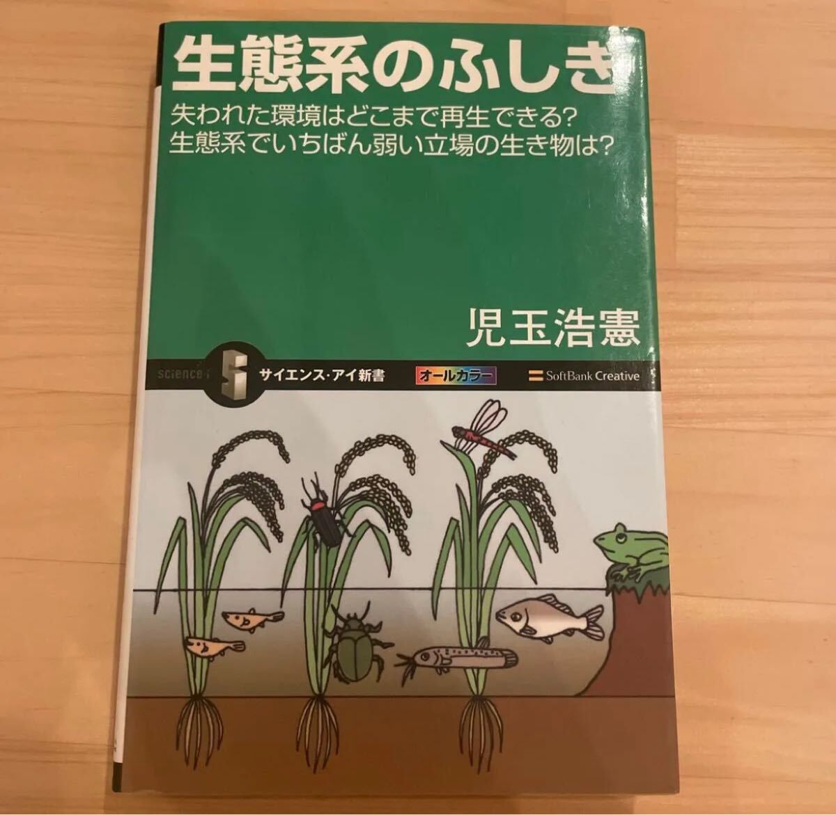 生態系のふしぎ 児玉浩憲 サイエンス・アイ新書 オールカラー拍卖