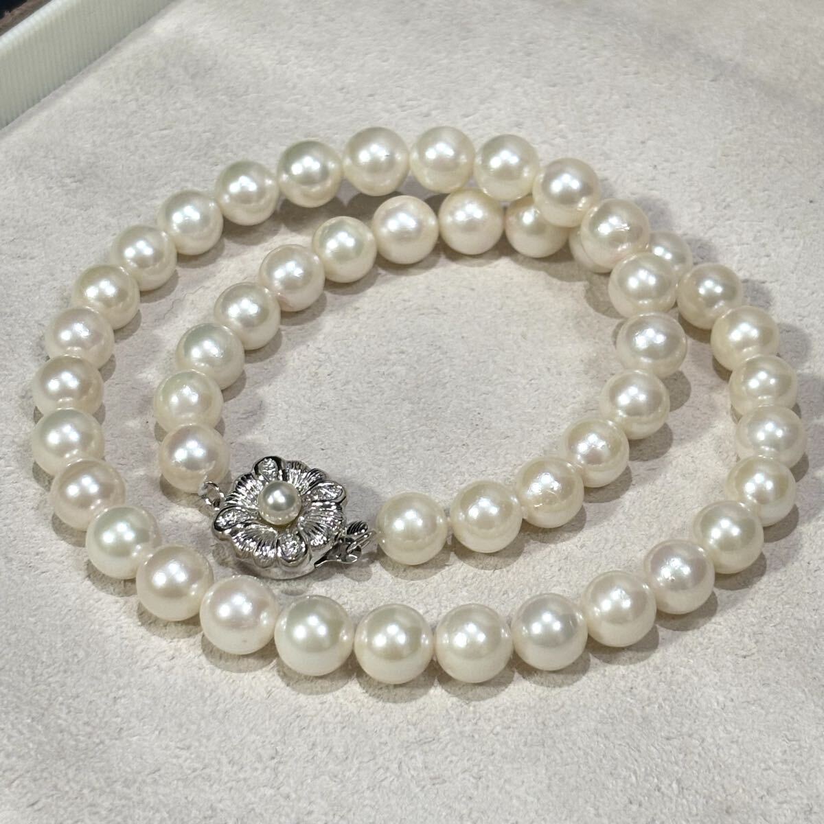照り強●タサキ TASAKI アコヤ真珠 ネックレス パール 8.1㎜-8.3㎜ 39㎝ 40g pearl jewelry necklace silver刻印 シルバー金具 あこや拍卖