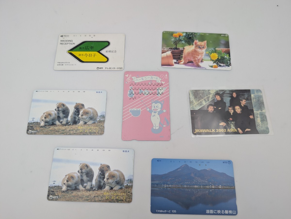 【おまとめ】テレホンカード 計7枚セット 秋田犬 JAYWALK 磐梯山 猫 等拍卖
