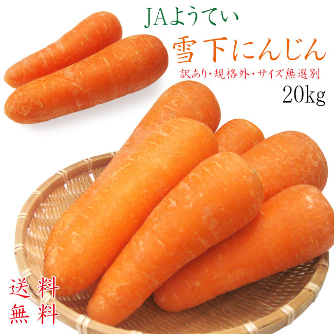 雪下にんじん 20kg 土付きニンジン JAようてい≪泥付きニンジン≫【訳あり・規格外・サイズ無選別】【送料無料】 ※只今発送中!拍卖