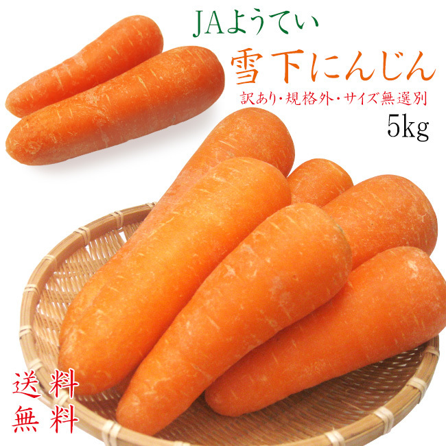 雪下にんじん 5kg 土付きニンジン JAようてい≪泥付きニンジン≫【訳あり・規格外・サイズ無選別】【送料無料】 ※只今発送中!拍卖
