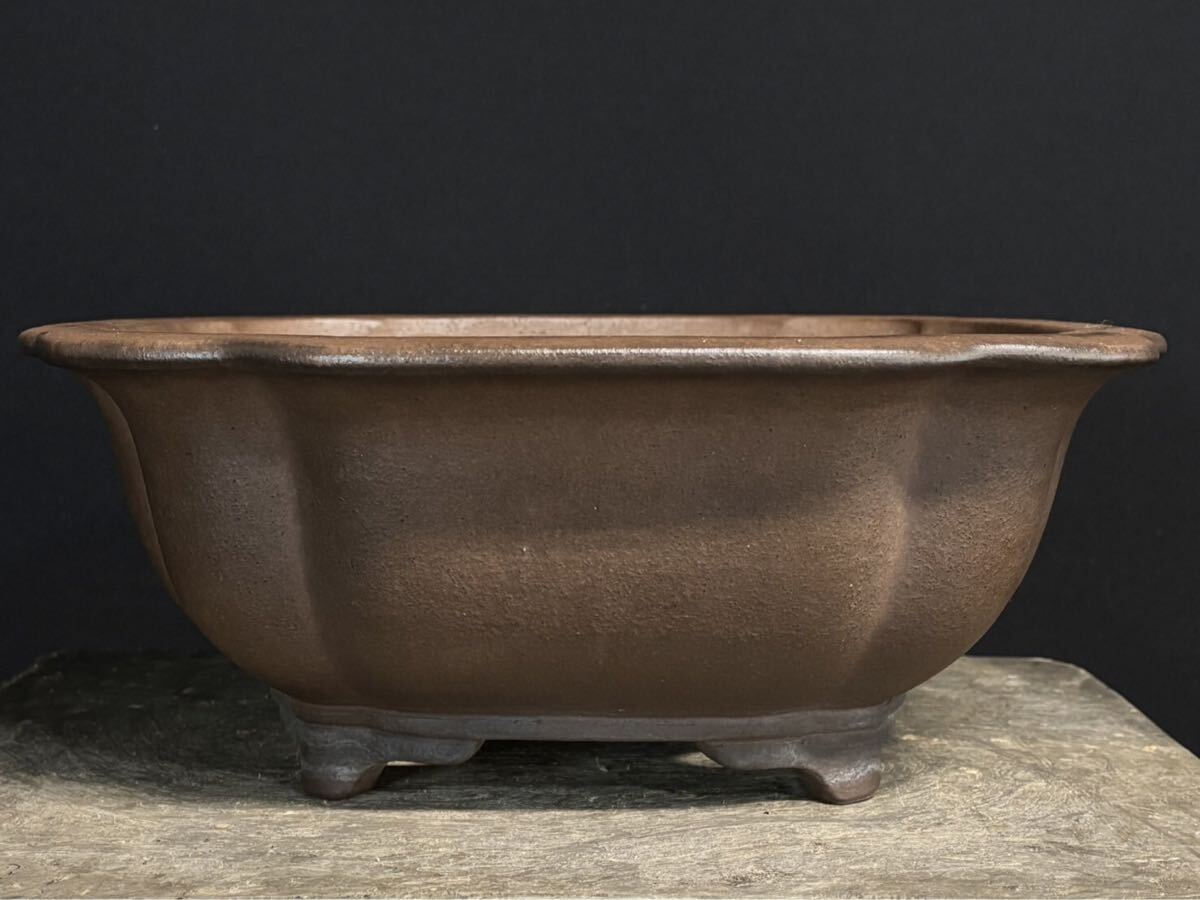 中野行山造 行山 盆栽鉢 和鉢 鉢拍卖