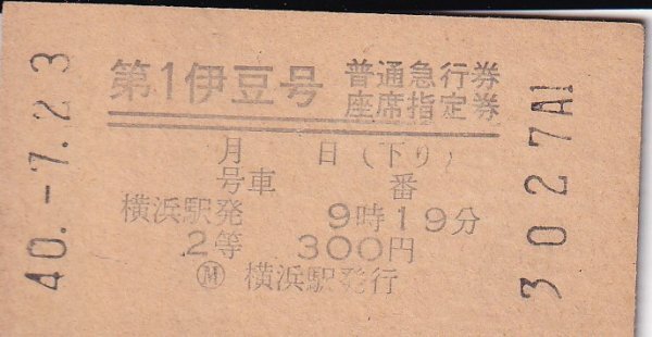 鉄道切符 硬券 第1伊豆号 普通急行券/座席指定券(2等) 横浜駅発 下り 拍卖