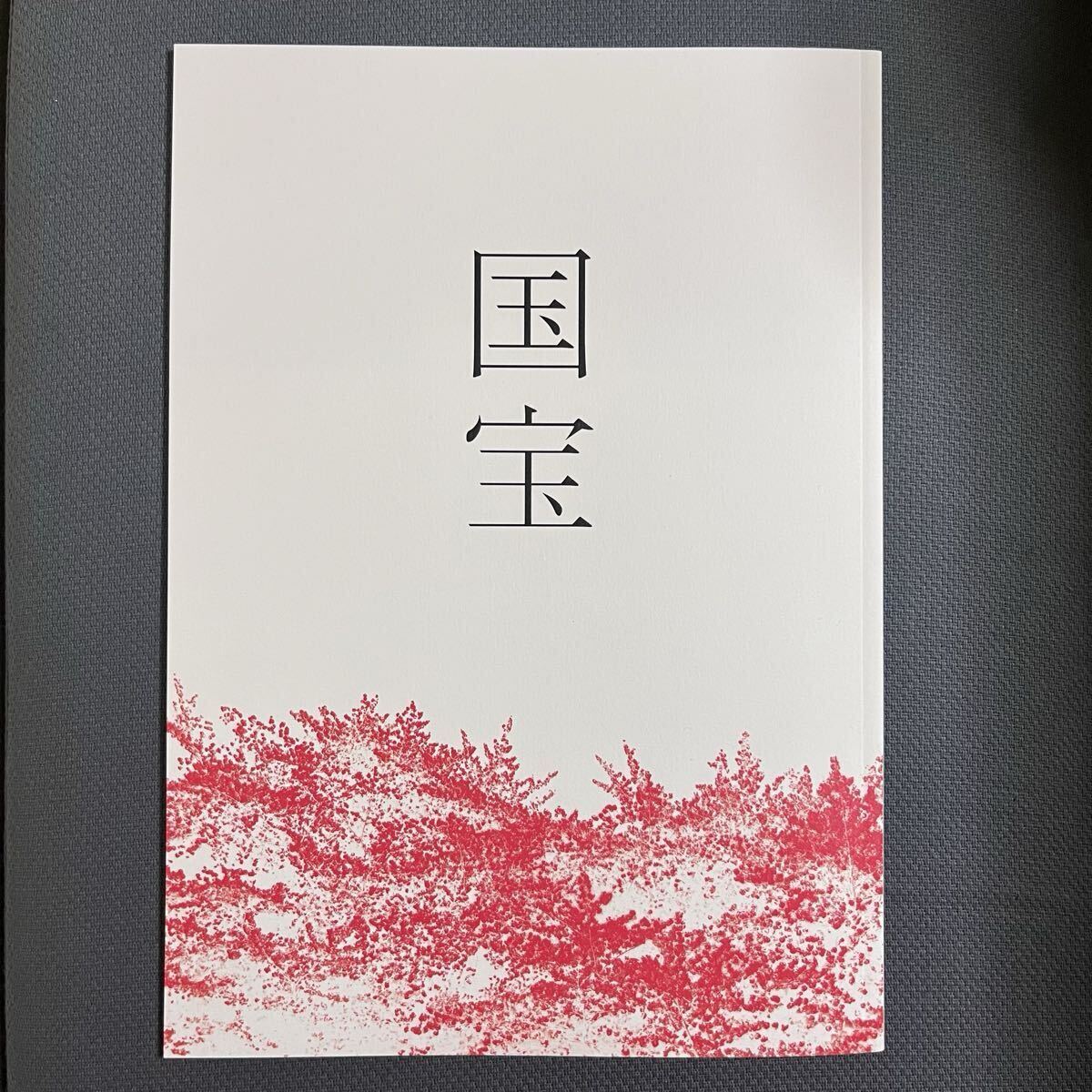 国宝 映画パンフレット 吉沢亮/横浜流星/高畑充希/寺島しのぶ/森七菜/三浦貴大/渡辺謙 邦画 美品 李相日監督 カンヌ国際映画祭出品作品拍卖