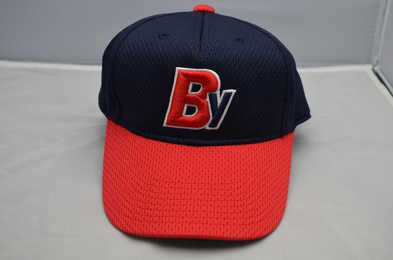 B0050◆レワード◆野球帽子 刺繍入り サイズ:J52~55cm拍卖