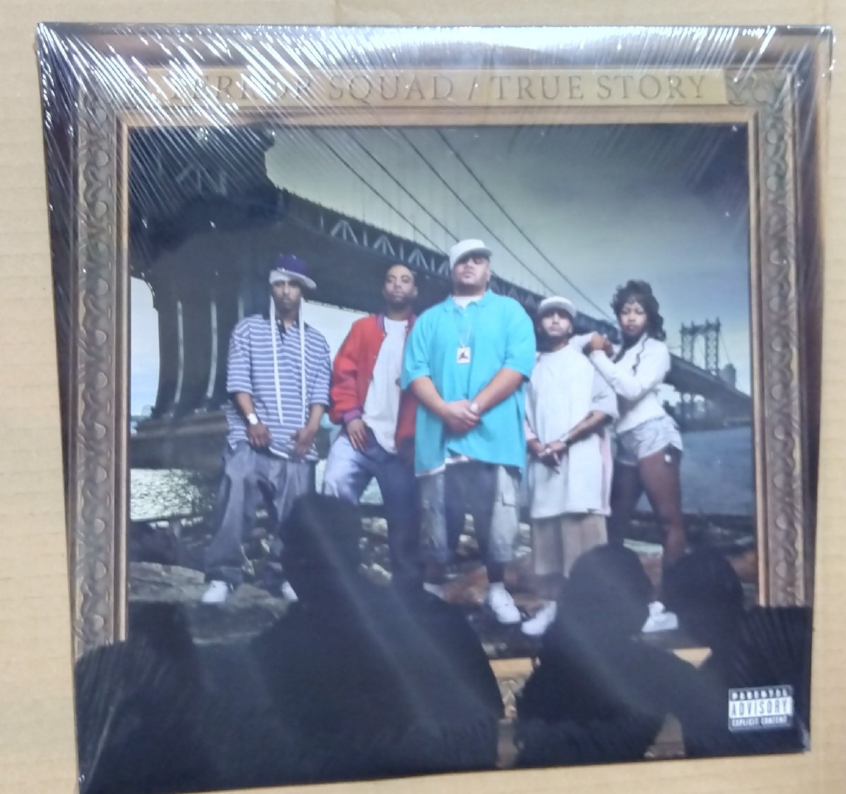 輸入LP:Terror Squad テラー・スクワッド/True Story 新品未開封拍卖