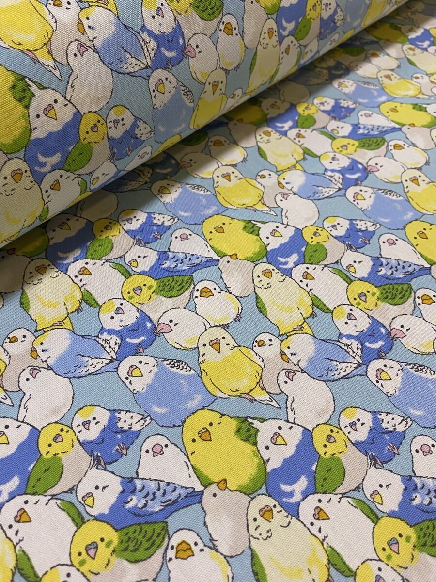 2m インコ 文鳥 水色 オックス生地 ハギレ 生地拍卖