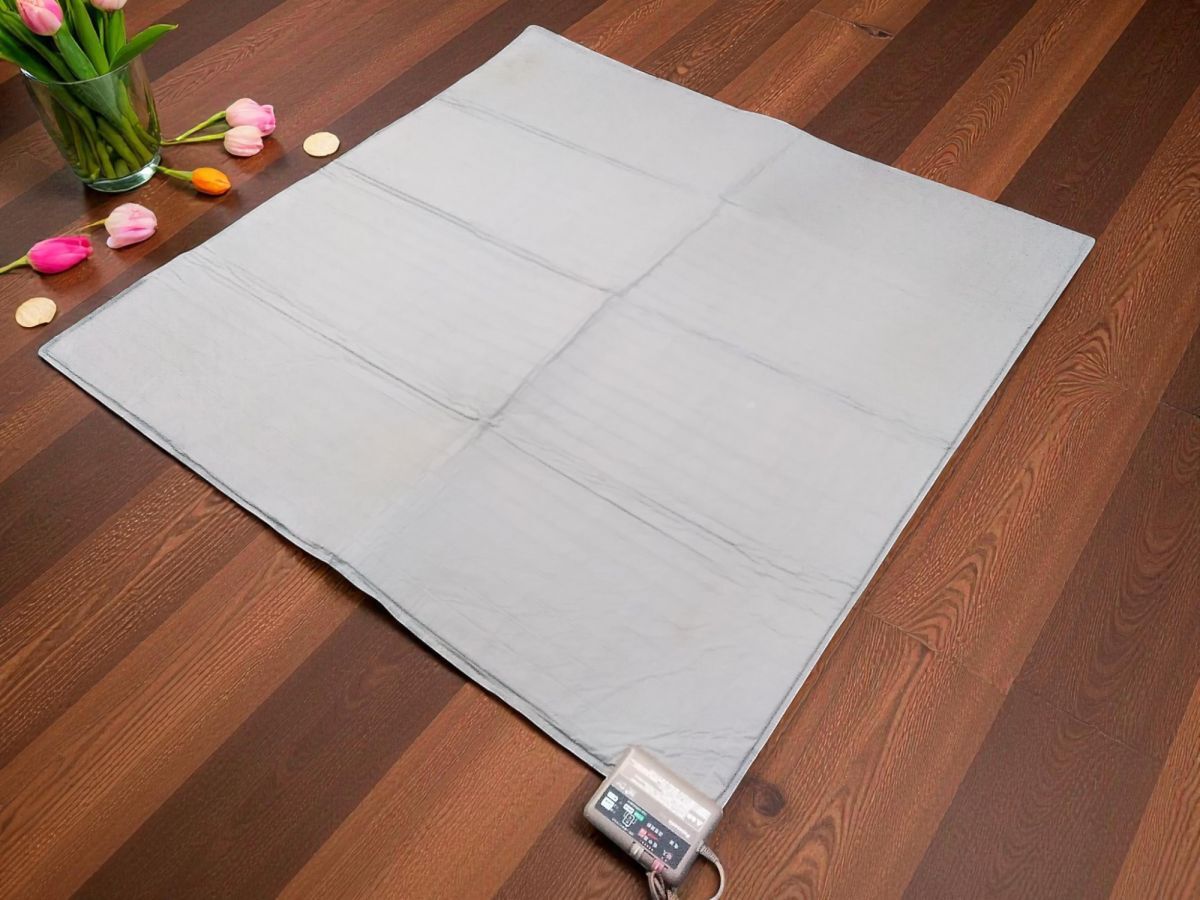 □動作品 パナソニック Panasonic ホットカーペット 着せかえカーペット用ヒーター 2畳相当 2切替 DC-2EC 1119-1 @180□拍卖