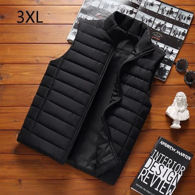 中綿ベスト メンズベスト メンズ前開きべスト ジレ 上着 インナー ジップアップ カジュアル 防寒 秋冬 シンプル 3XL拍卖
