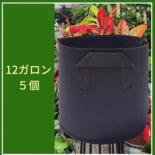植木鉢 不織布プランター 不織布ポット 不織布 プランター 大型 フェルトプランター 軽い 軽量 深鉢 12ガロン5個拍卖