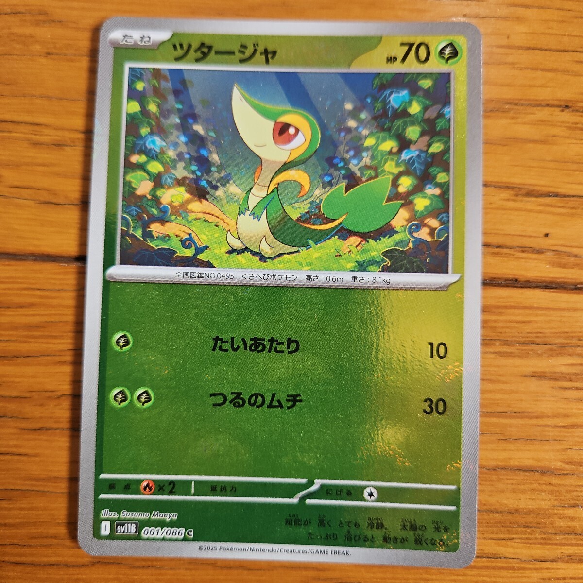 ポケカ 『ツタージャ』モンスターボール拍卖