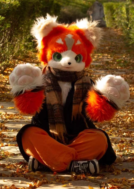 ★ファースーツ 着ぐるみセット NO.279 猫 オレンジ色 ケモノ ファースーツ 全頭ヘッド ぬいぐるみ コスプレ コスチューム 一点物拍卖