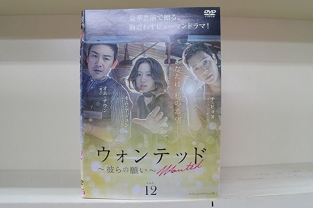 DVD ウォンテッド 彼らの願い 全12巻 ※ケース無し発送 レンタル落ち Z3H592a拍卖
