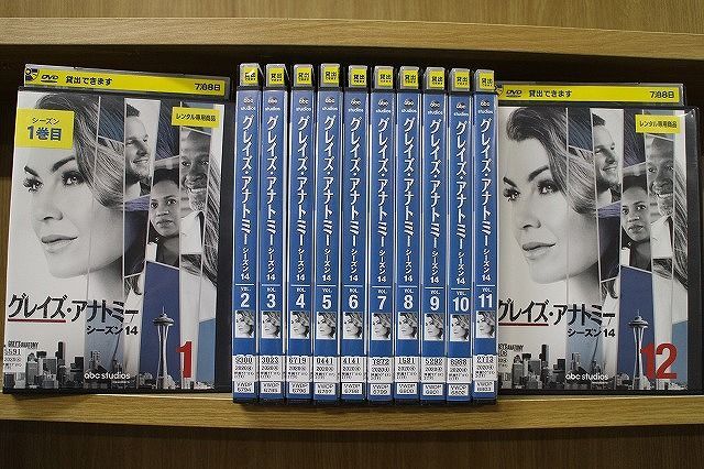 DVD グレイズ・アナトミー シーズン14 全12巻 ※ケース無し発送 レンタル落ち ZKK2173拍卖