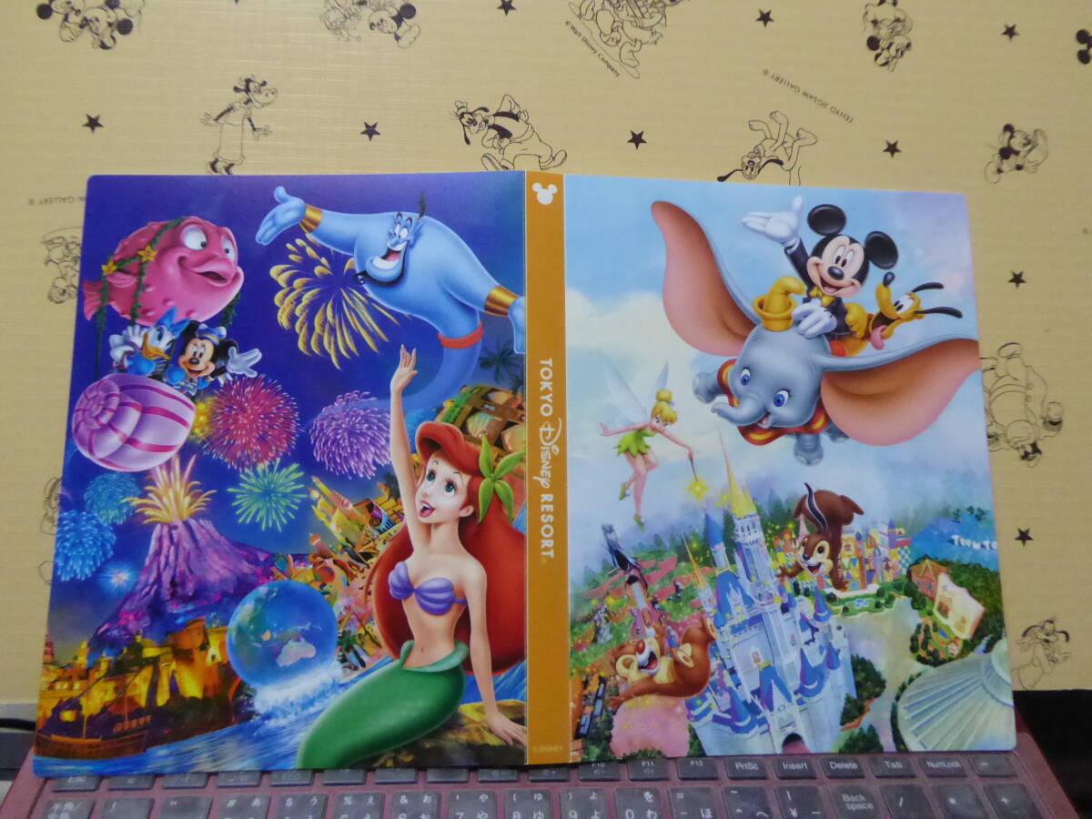 TDR ディズニーリゾート・コレクションカード 全24種類 ミッキー・ミニー他 TDS/TDL拍卖